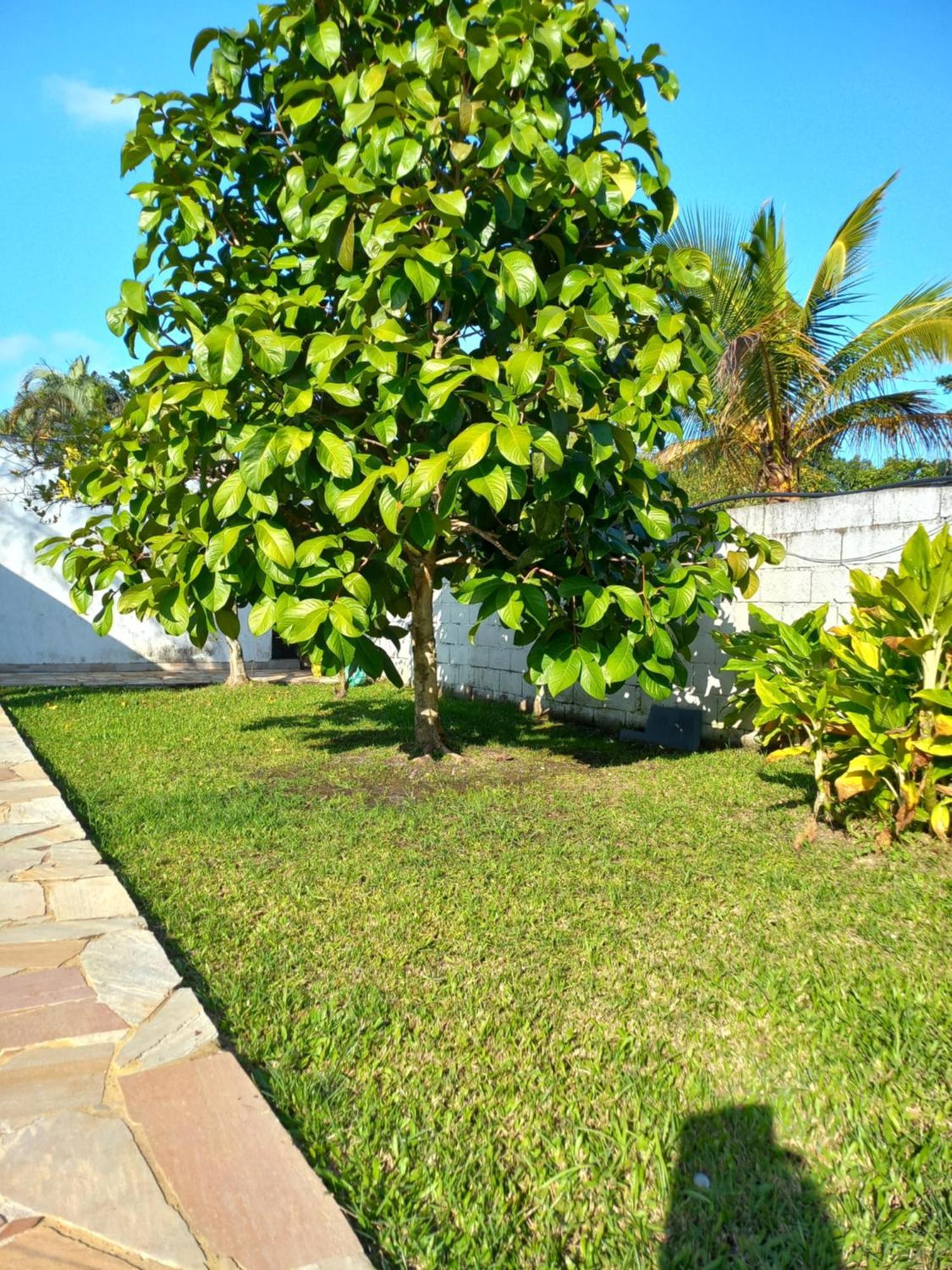 Chacara Sitio Casa Peruibe Praia 外观 照片